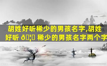 胡姓好听稀少的男孩名字,胡姓好听 🦋 稀少的男孩名字两个字